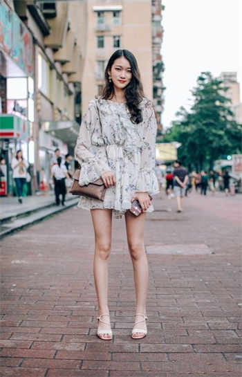 主人给贱狗的任务
