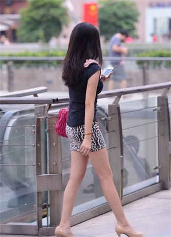 黑枭绝宠宝贝