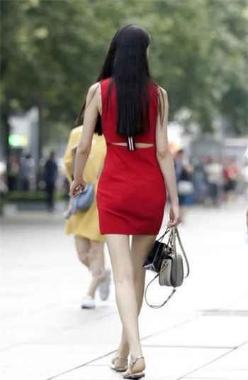 白家共妻苏妙雪