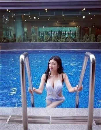 8778t∨花蝶下载路线
