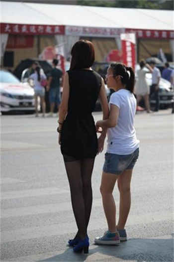 萌白酱馒头一毛无线