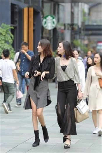 zlibray登陆入口