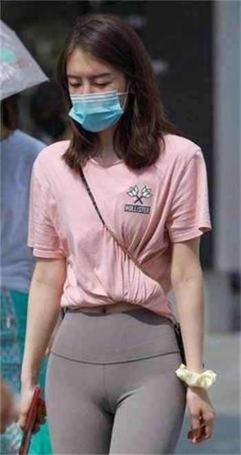 女巫的猫所有小说